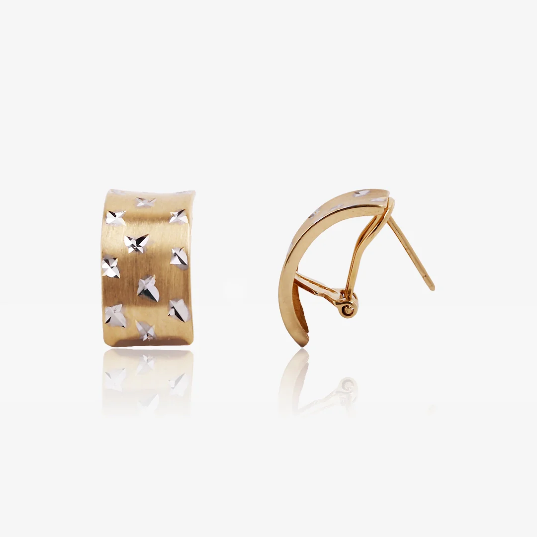 Pendientes Omega Bicolor - Image 2
