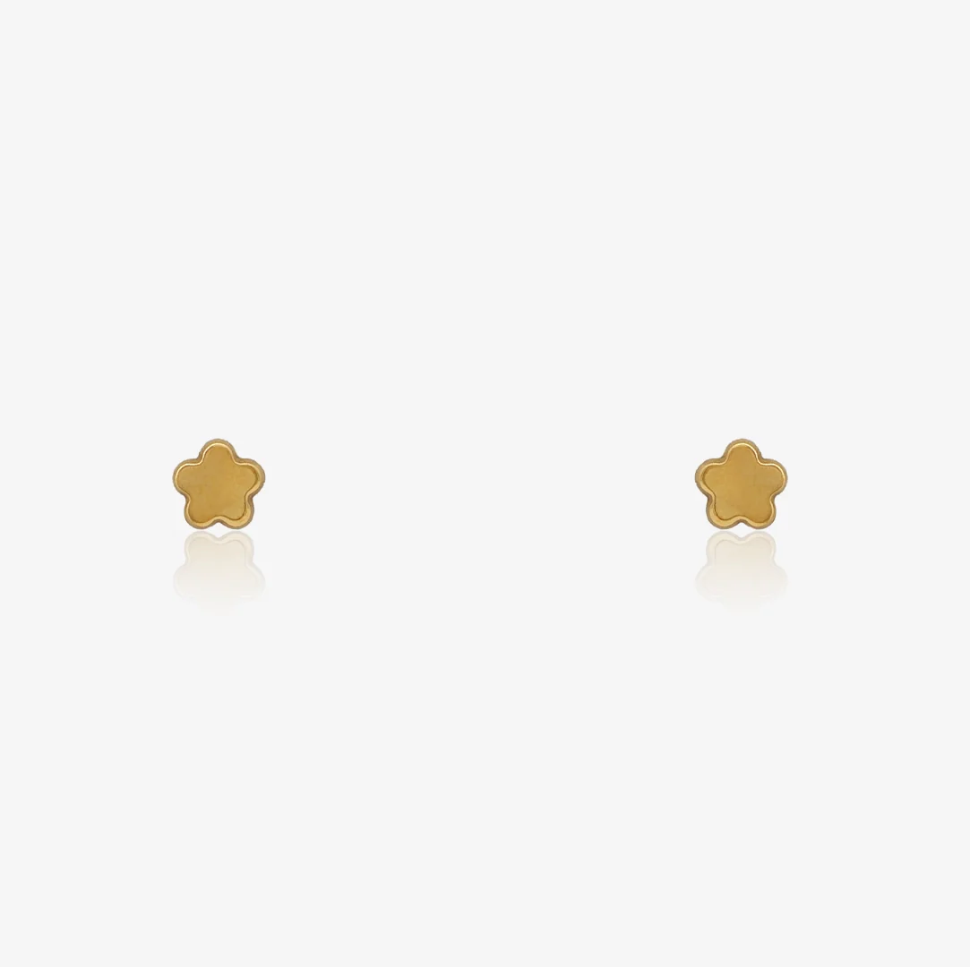 Pendientes Flor Brillo