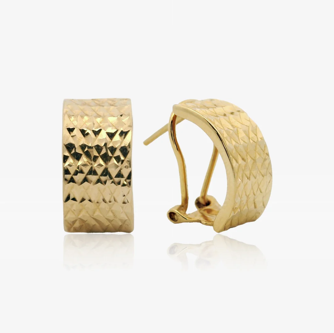 Pendientes Omega - Image 2
