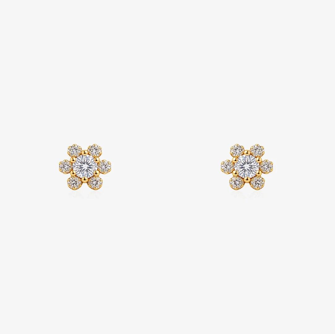 Pendientes Camila